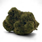 Mango+
