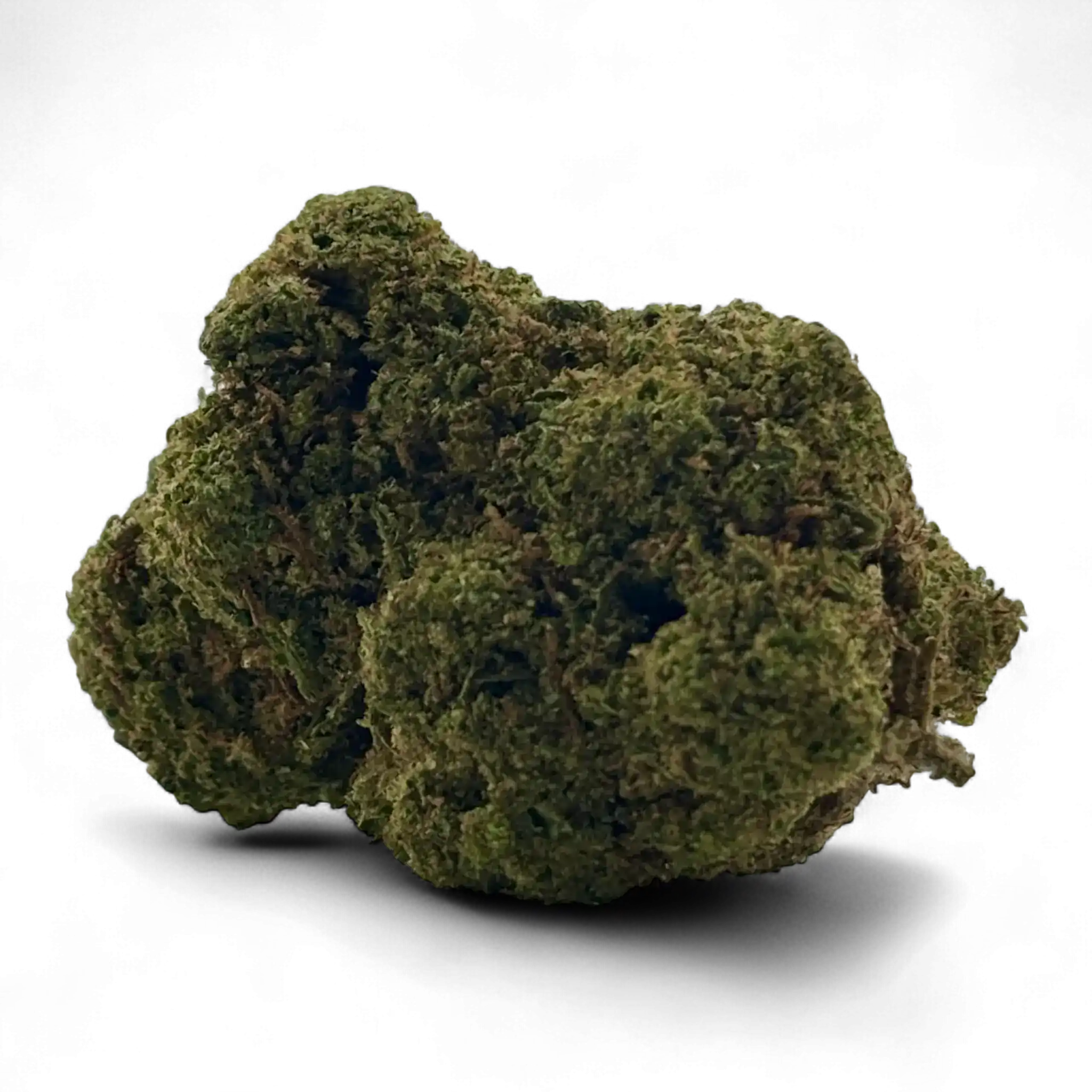 Mango+