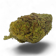 Guava+